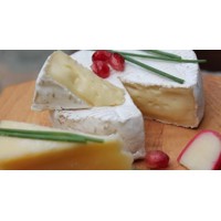 Sada kultúr na výrobu Camembertského syra