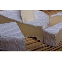 Beaugel 9 - Camembert na 25 l mlieka