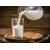 LACTASE BL 50 g enzým na zbavenie laktozy v mlieku